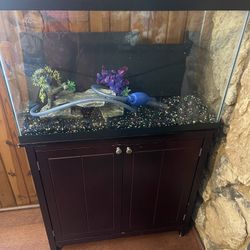 Fish Tank With Stand
