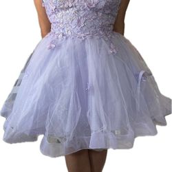 Purple XL Dress