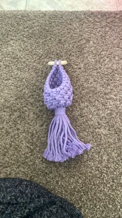 Air plant holder