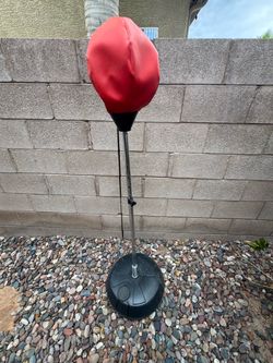 Speed punching bag