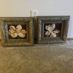 Cuadros De Magnolia