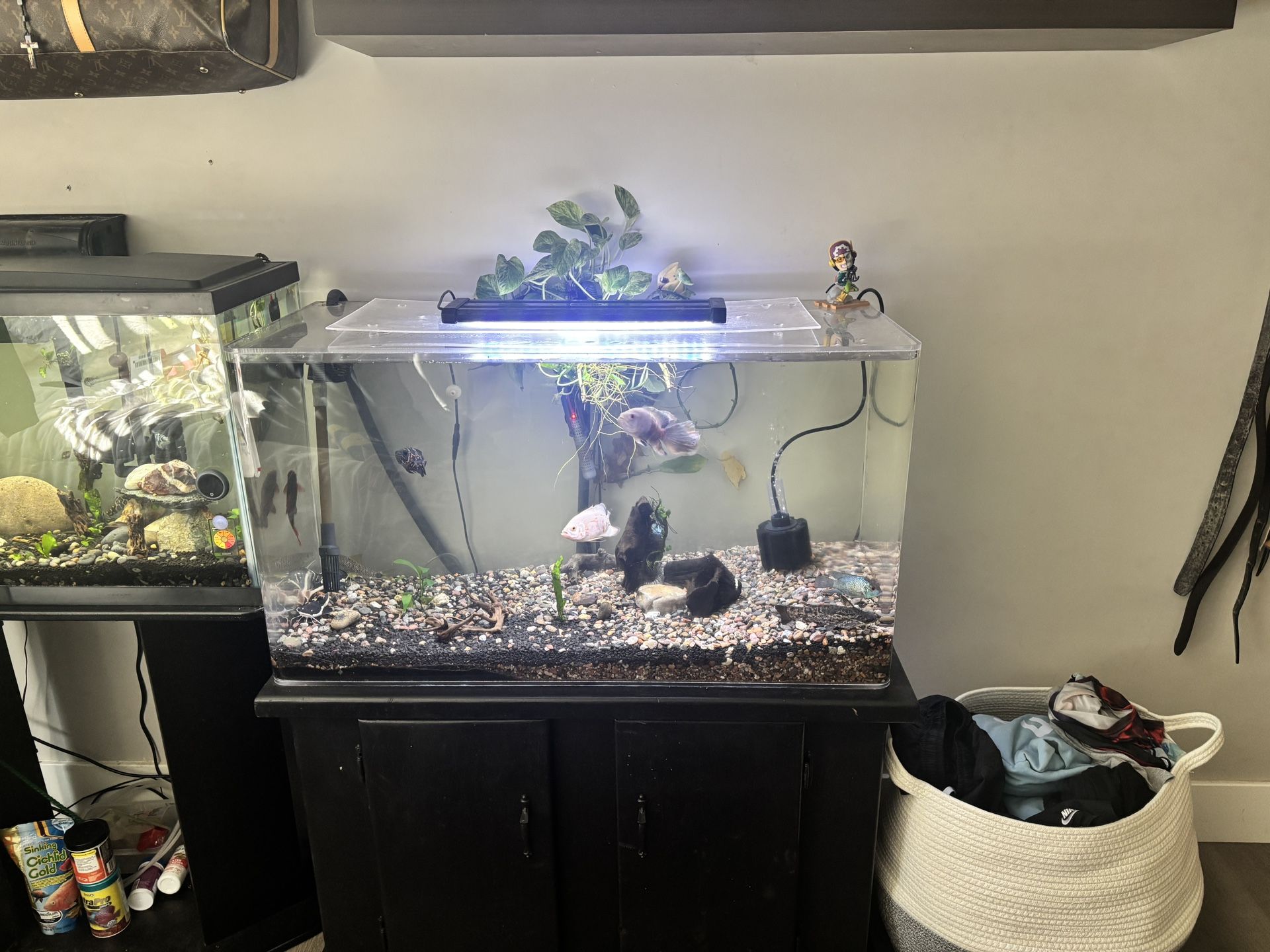 Fish Tank Plexiglass