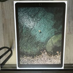 iPad Pro 12.9” Screen 