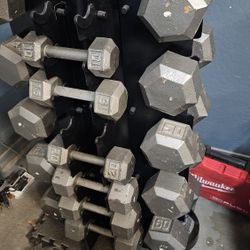 Steel Dumbbells With Stand