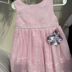 Blueberi Boulevard 24month Pink Toddler Dress NWT