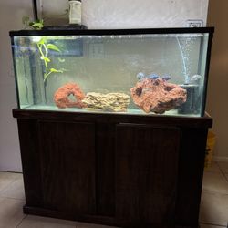 Fish Tank Aquarium 60 Gallon 
