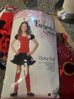 Lady Bug Costume