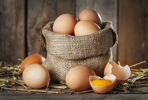 Organic Free Range Eggs