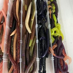 Two fishing poles and worms for sale