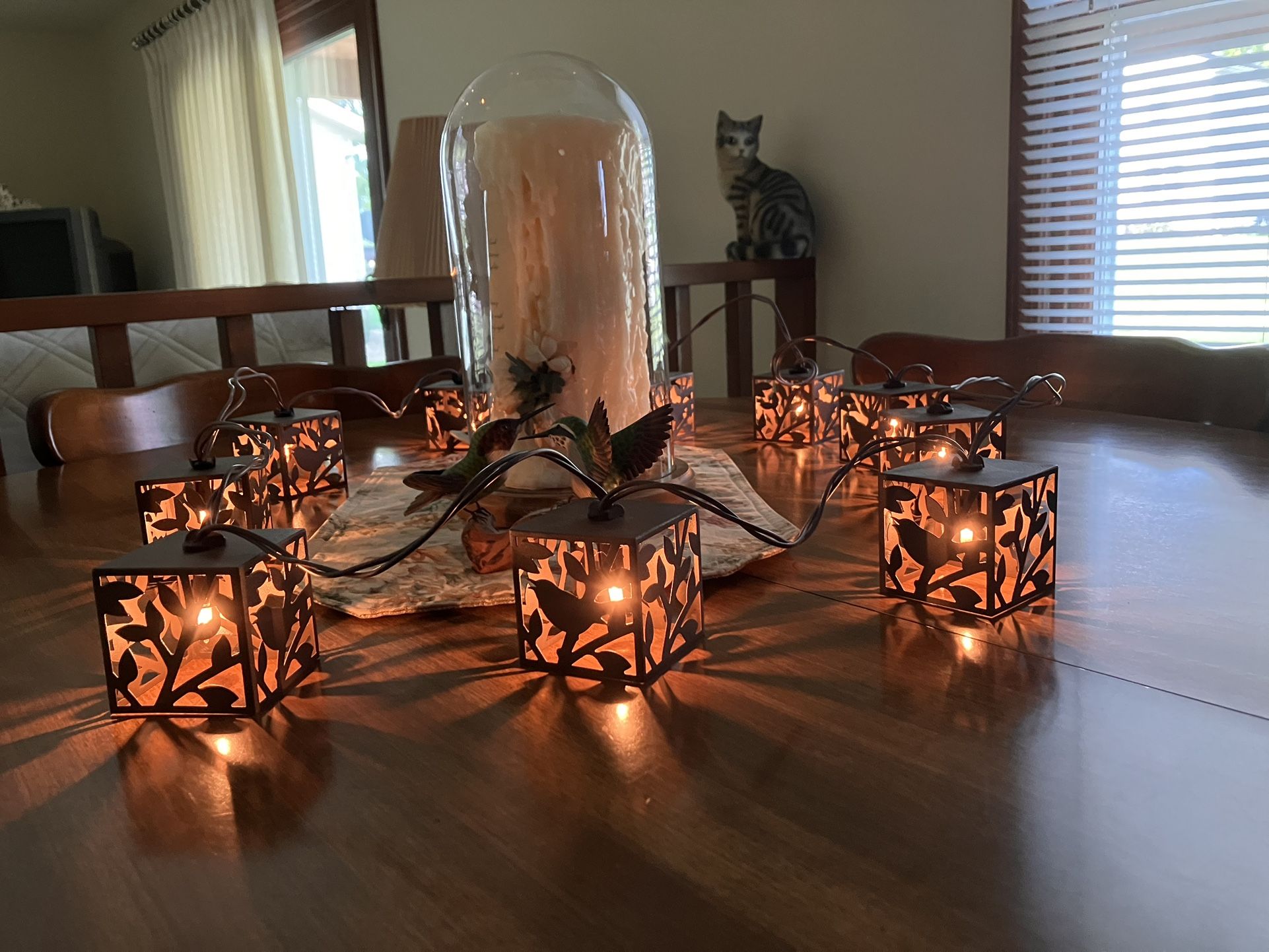 ***** Gorgeous, Bird & Plant shadow Light Strand 10foot