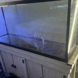 7 tanks total! 55 Gallon aquarium with Stand & Equipment $450 , including 6 more tanks