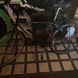 Trek Bicycle
