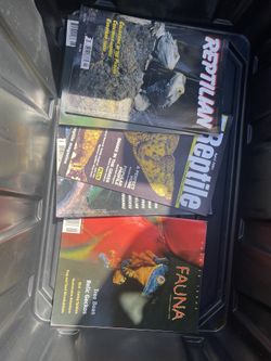 Reptiles, Animals, Books, Magazines, And Posters