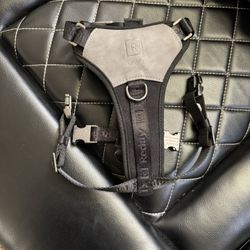 Small/Medium Puppy Bundle - Harnesses & Puppy Essentials