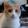 Mae