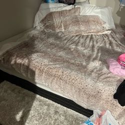 Queen Mattress And Box Spring 