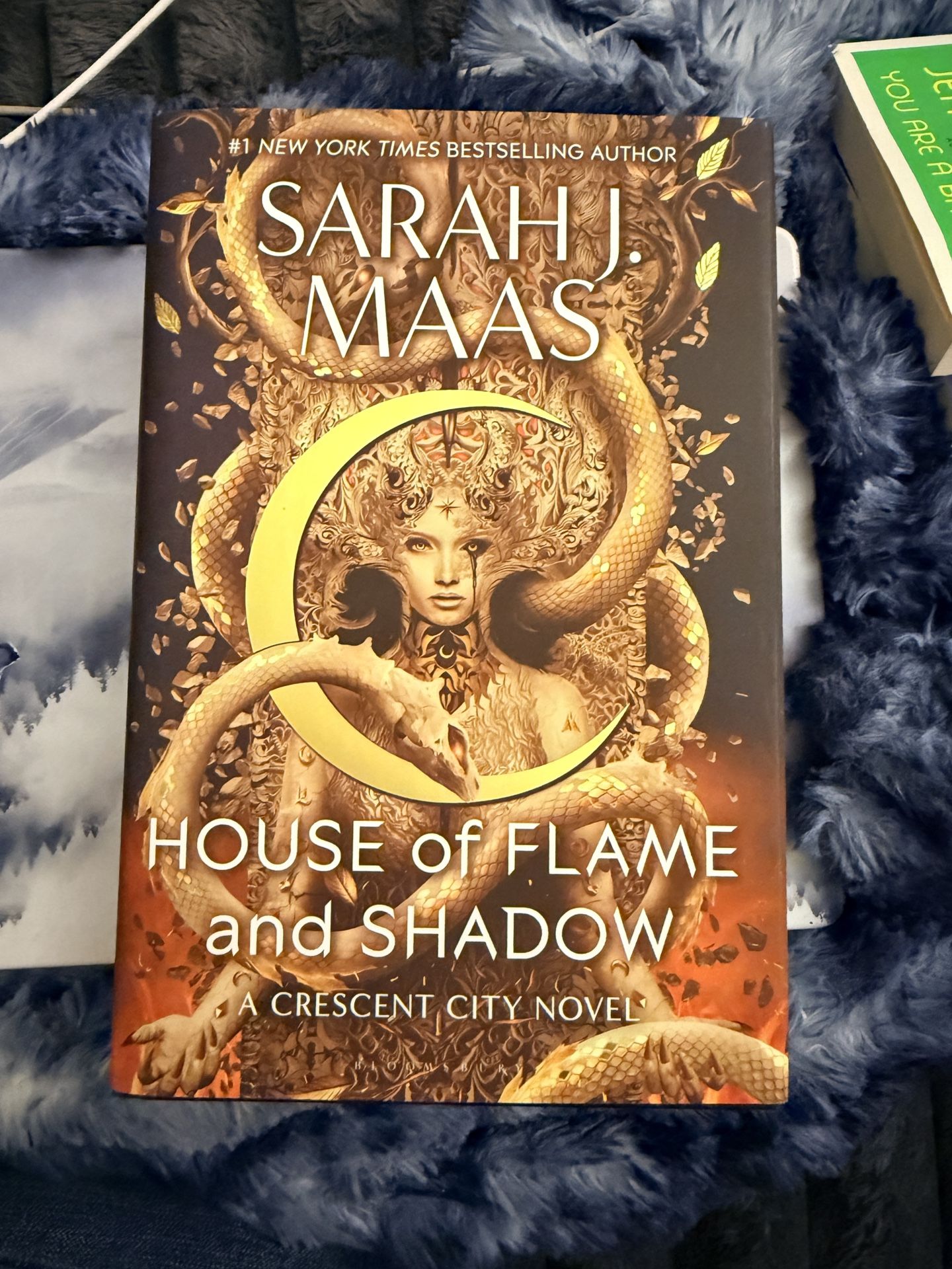 House Of Flame And Shadow! 