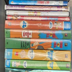 DVD Collection (Family Guy, Simpsons, King of The Hill