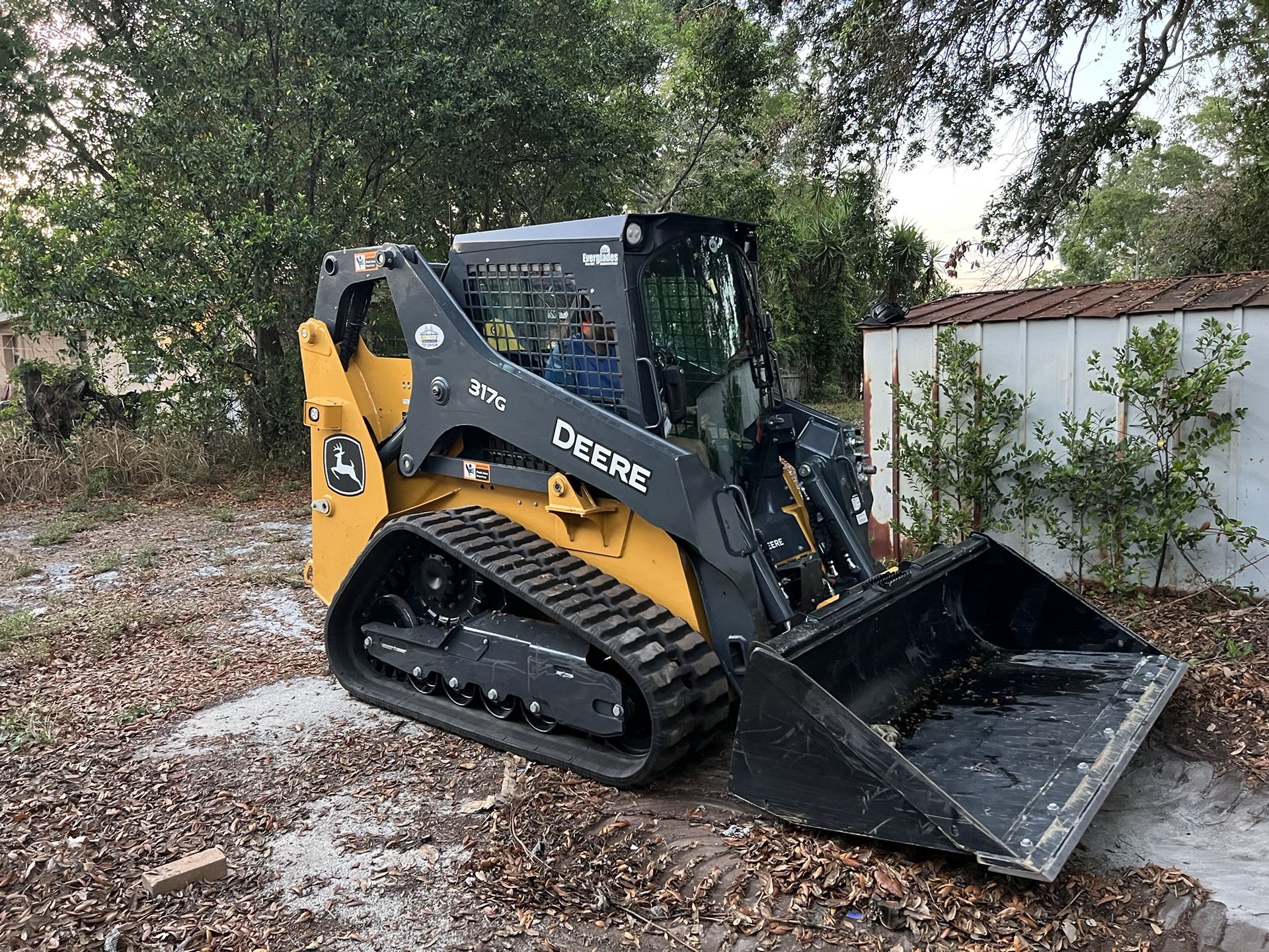 Bobcat