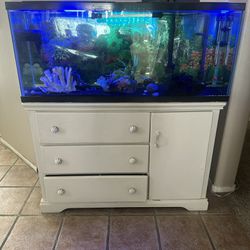 55 Gallon Fish Tank/ With Stand
