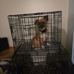 Dog crate