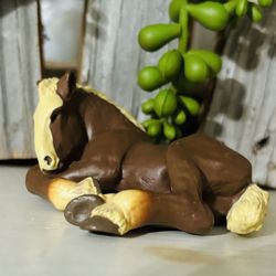 Adorable RETIRED Draft Laying Foal