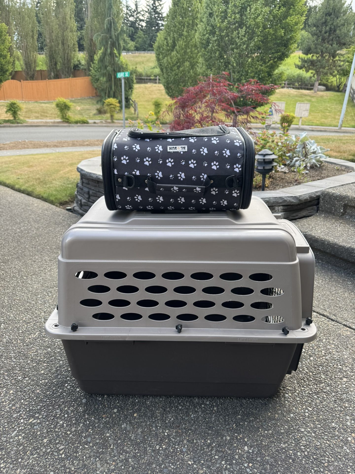 Dog Cage