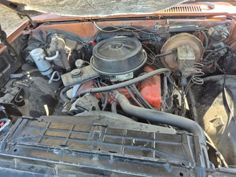 1981 Chevrolet C/K 20