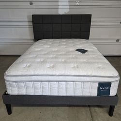 New Full Size Bed. 

Upholstered Platform Bed Frame With Leesa Oasis Chill Mattress. 

$395