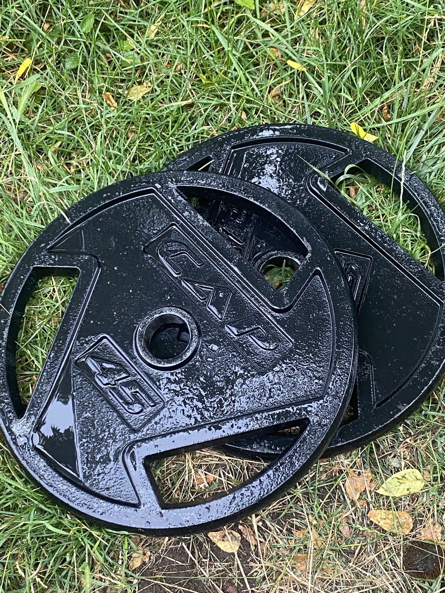cap cast iron weights