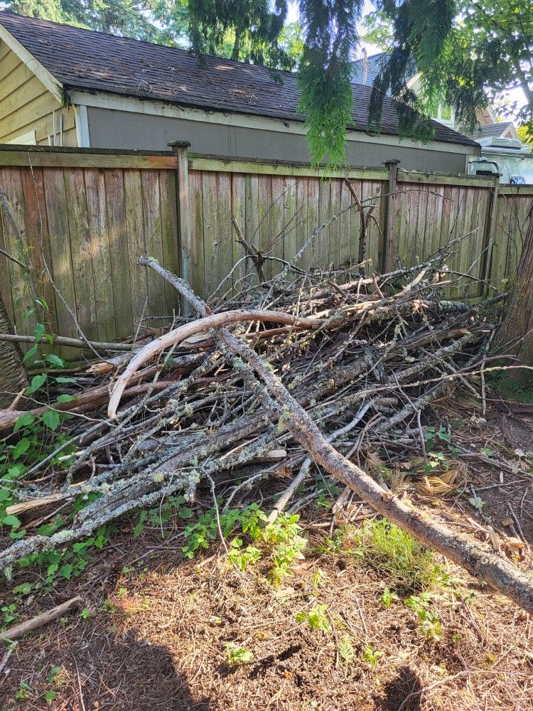 Free Stuff - Firewood, Landscaping, Flowerpots, Cabinet