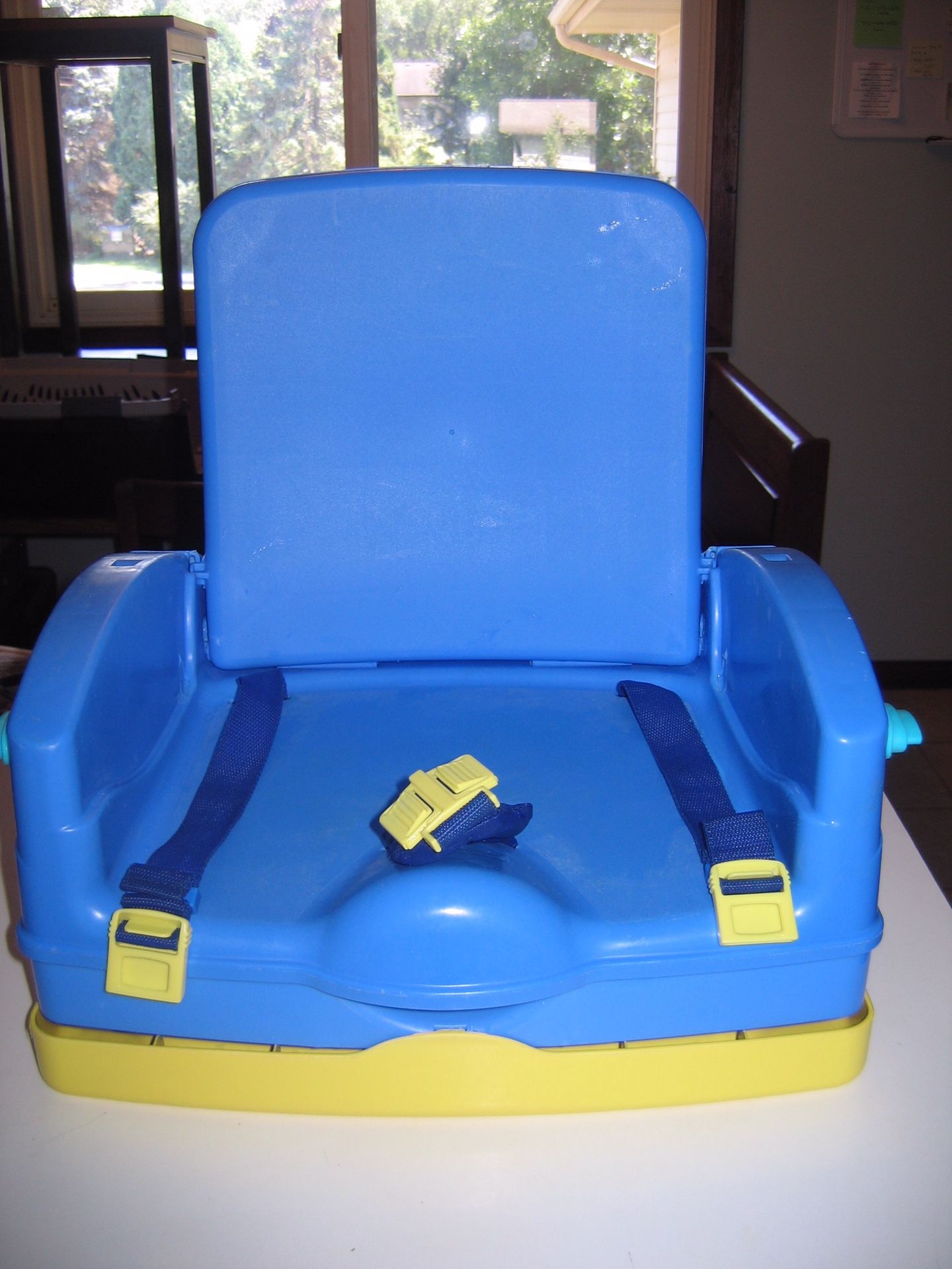 Safety 1st Booster Seat w/ Tray