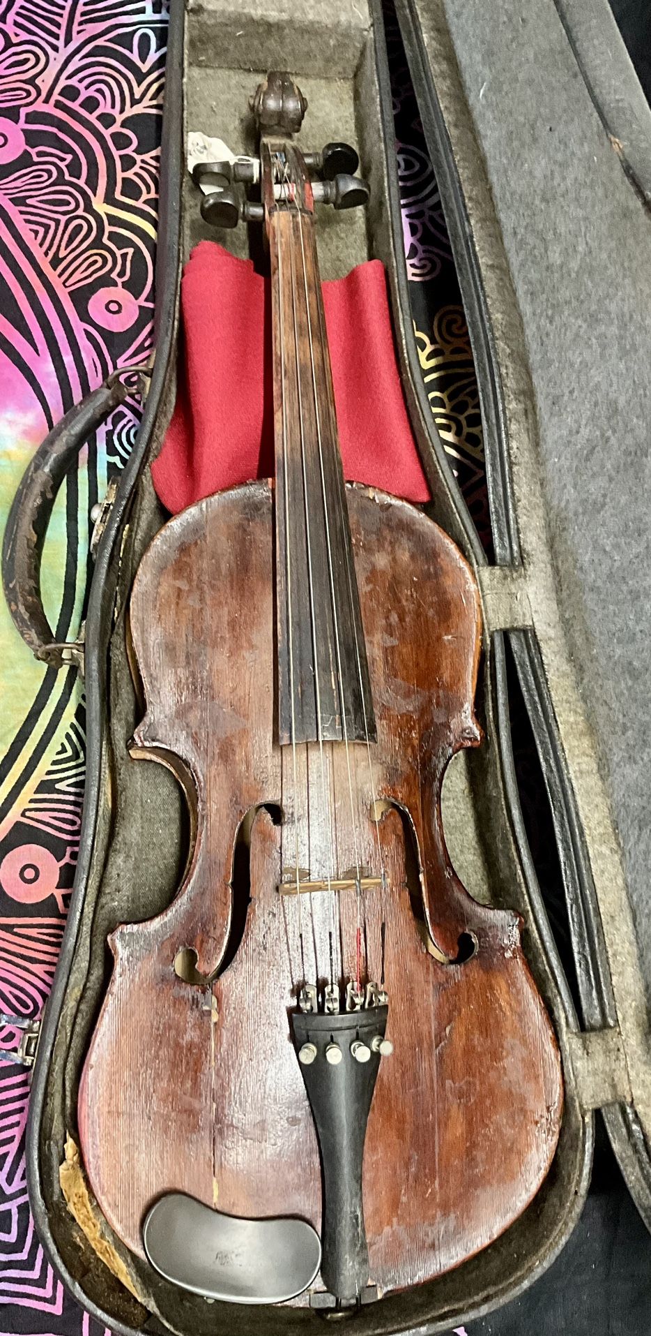 4/4 Size Violin in Hardshell Case