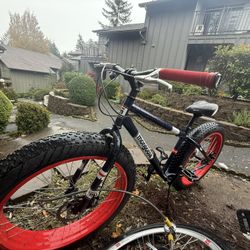 Fat Tire Bike