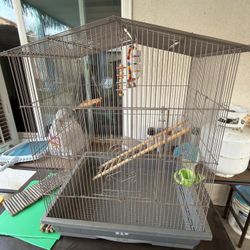 Bird Cage
