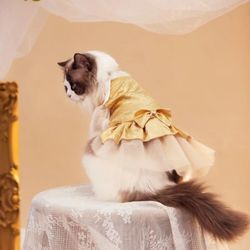 Pet Dress 🤗