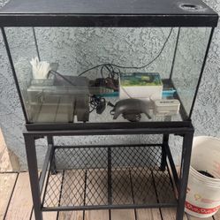 20 Gallon Fish Tank Everything Included