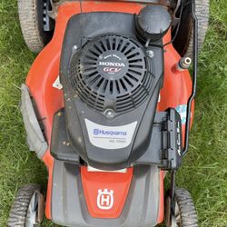 Pending.  Free - Not Starting After The Winter 