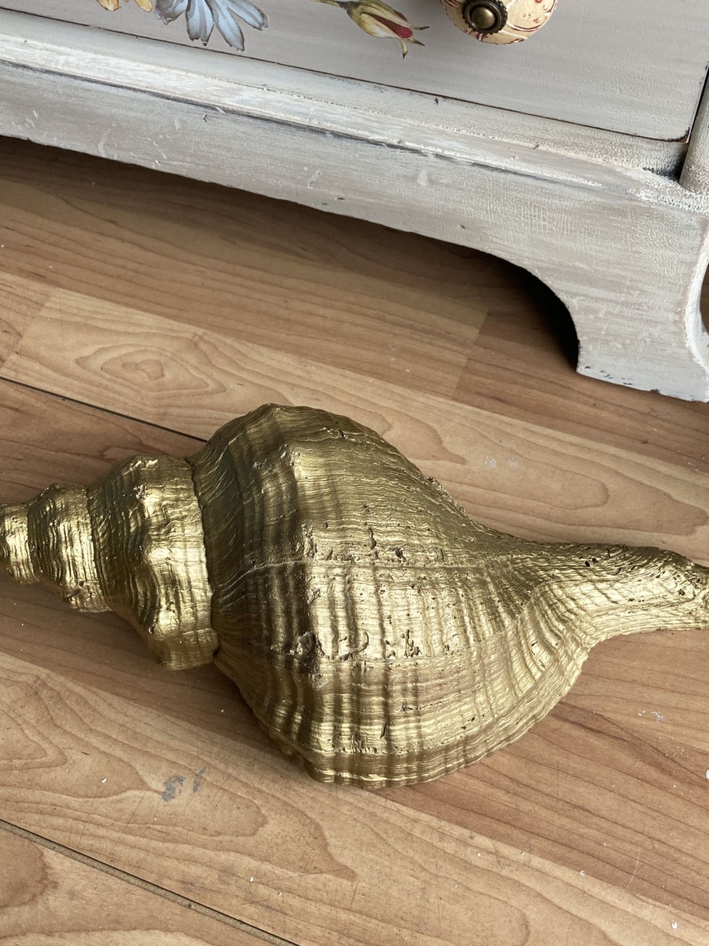 Large Horse Conch