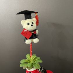 Grad Gift Plant Vase ! 