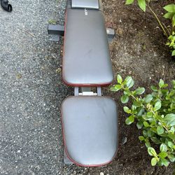 Body Builder Chair