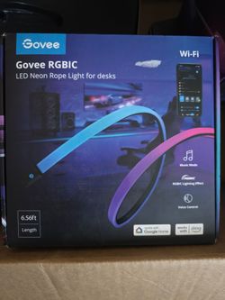Govee RGBIC lights