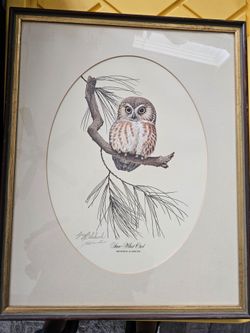 Vintage Guy Coheleach-Owl Art