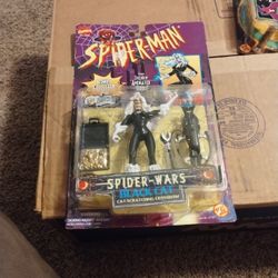Spider-Man Black Cat