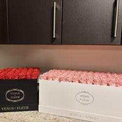 Venus Flowers 🌹 Forever Roses 