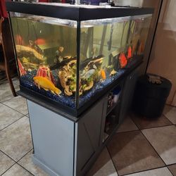 75 Gallon Tank With Stand 