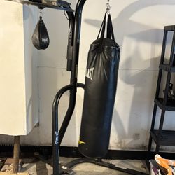 Everlast Punching Bag
