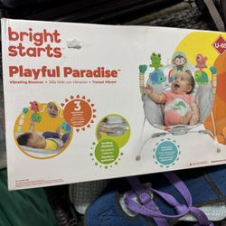 Baby Bouncer
