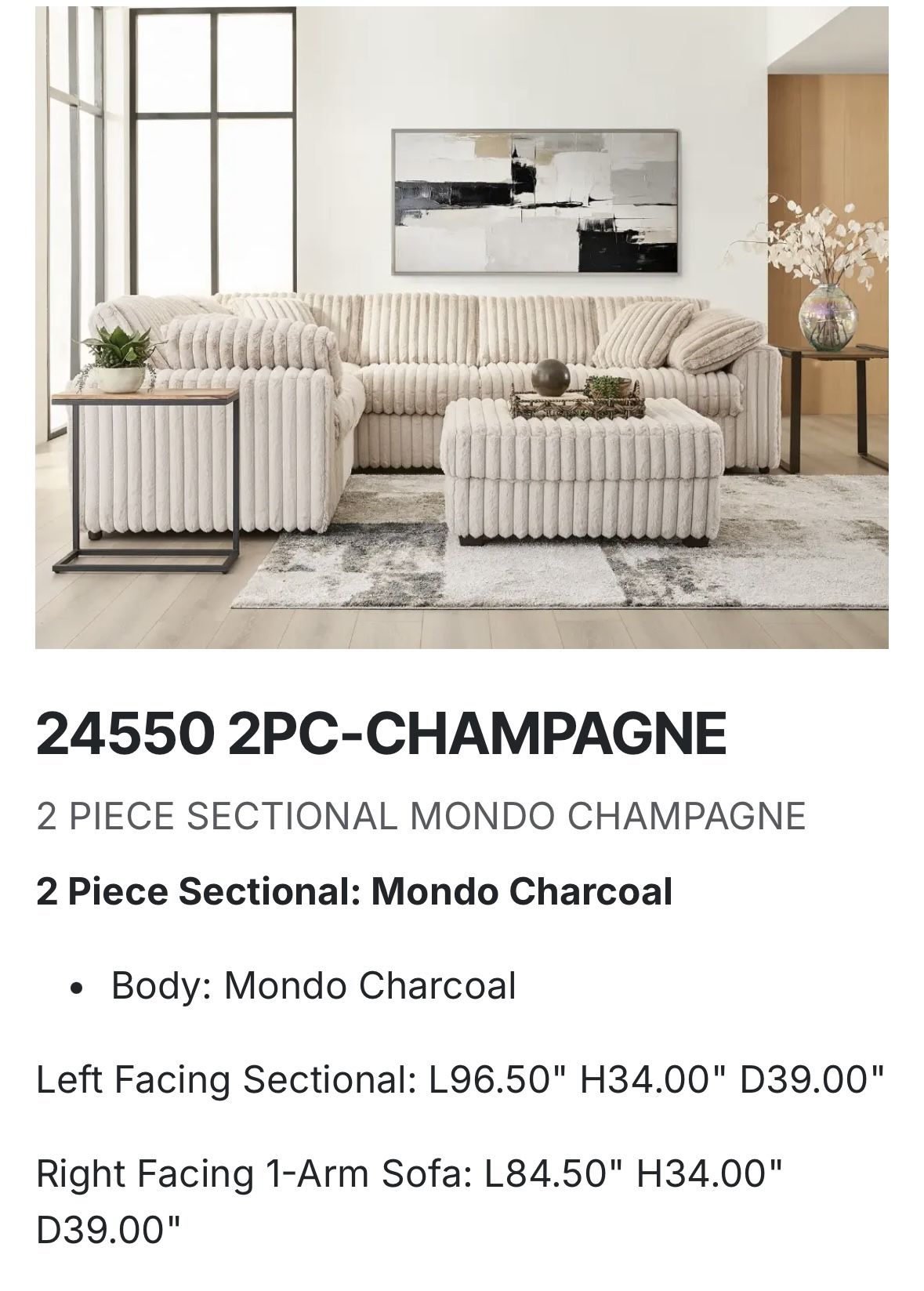 2 Piece Sectional: Mondo Charcoal