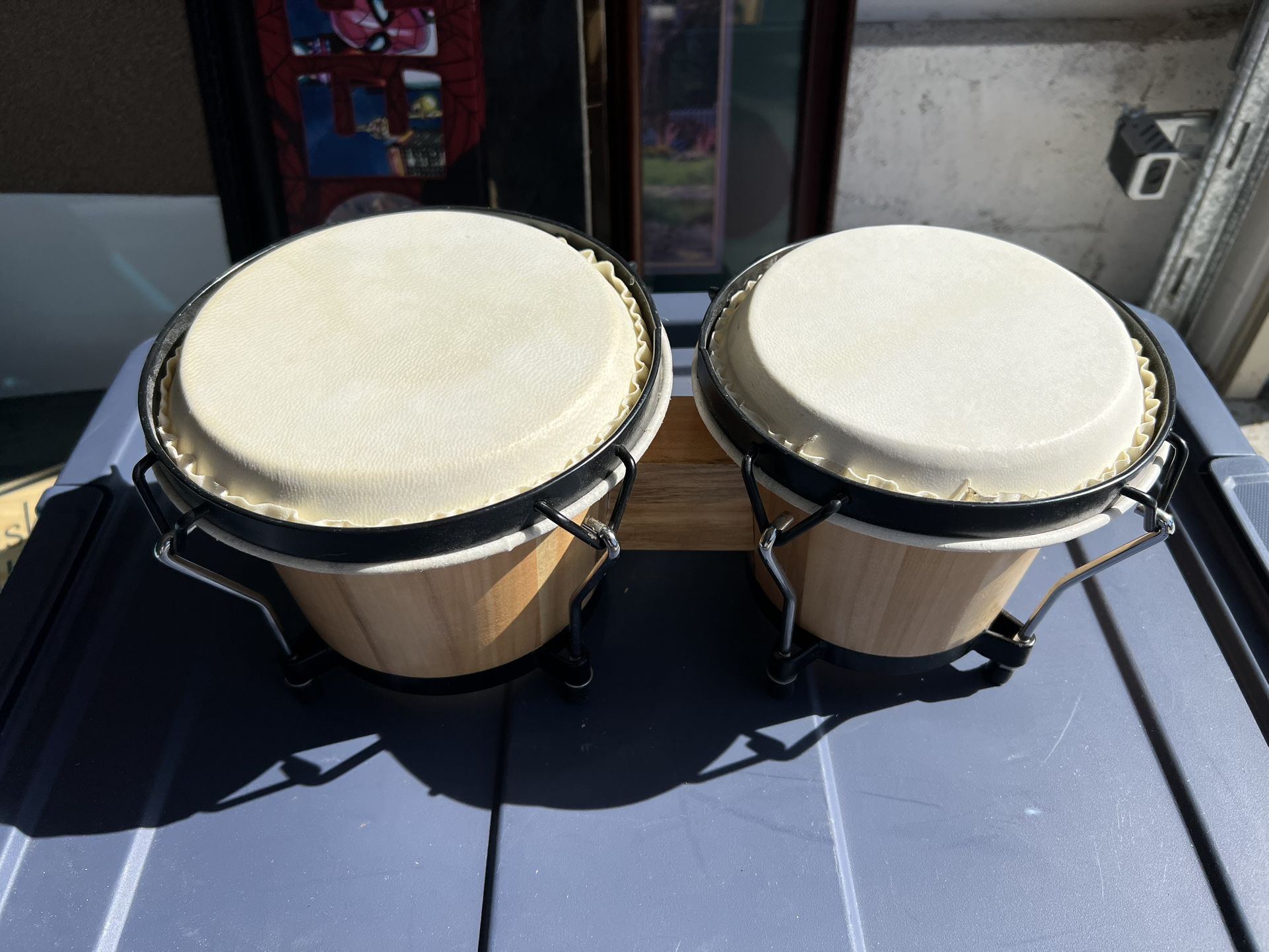 Bongo Drums